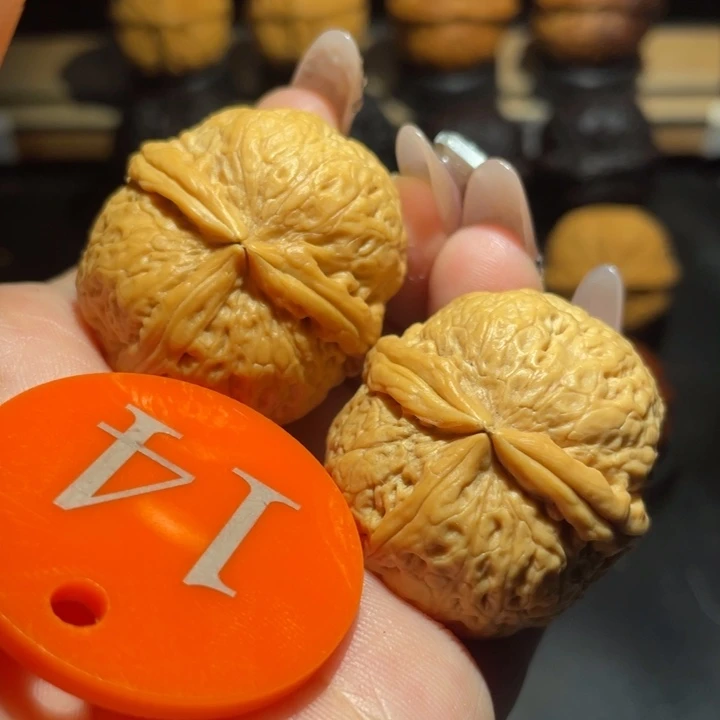 手捧雷三棱36尺寸核桃