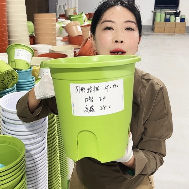 正品圆控口24高24果绿8只无托