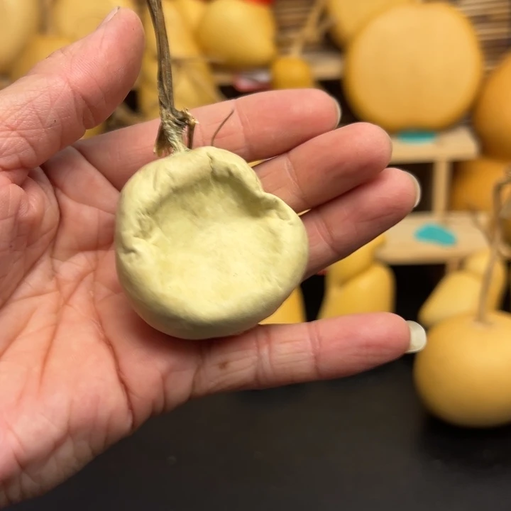 老****꧞25655565555555