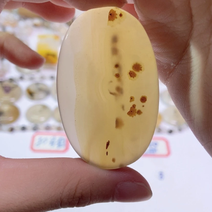 【闪购商品】玛瑙/玉髓颈饰合金