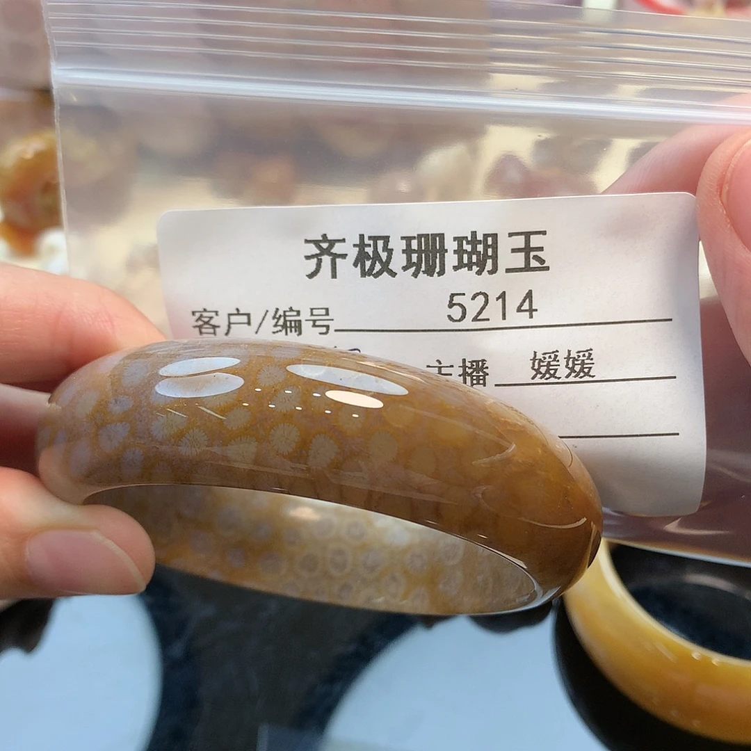 未镶嵌手镯硅化珊瑚（珊瑚玉）勤**学