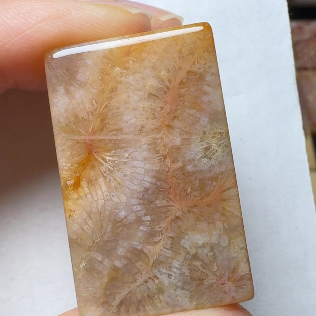 硅化玉飘橘的黄冰凤尾未镶嵌