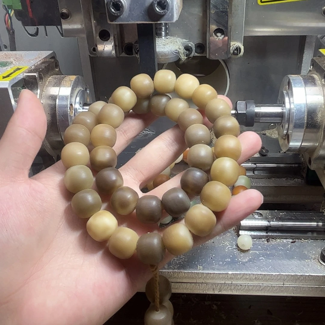 菩提根/象牙果手串