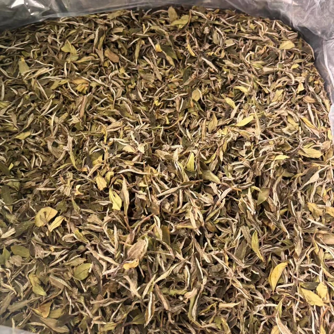 2023年柘荣高山白茶二级白牡丹散茶200g