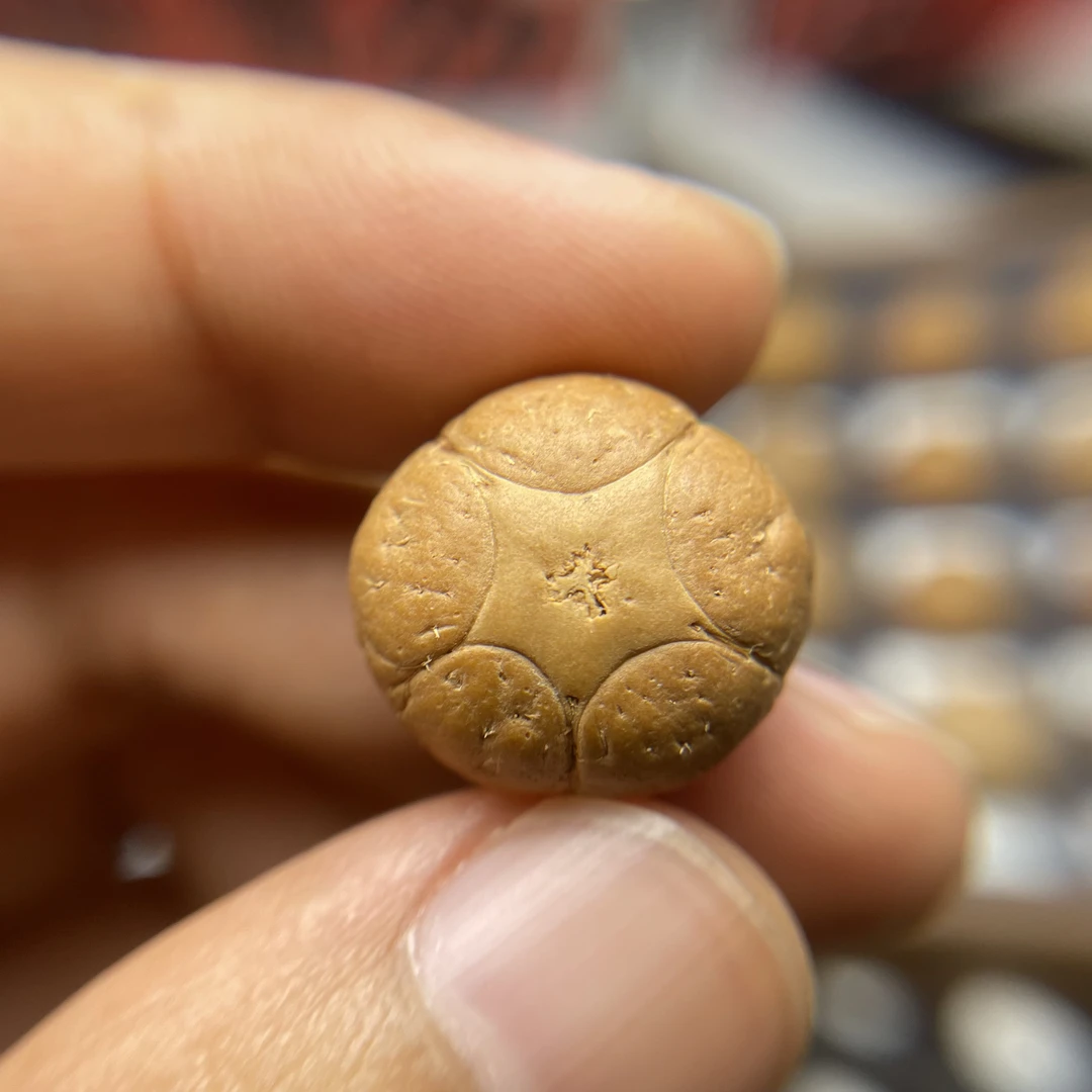 【ZX26】2025年尼泊尔凤眼五星上将 三通 一物一图 打孔不退不换