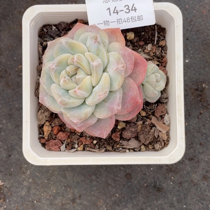 阿****你在哪呢你说我想你了吗