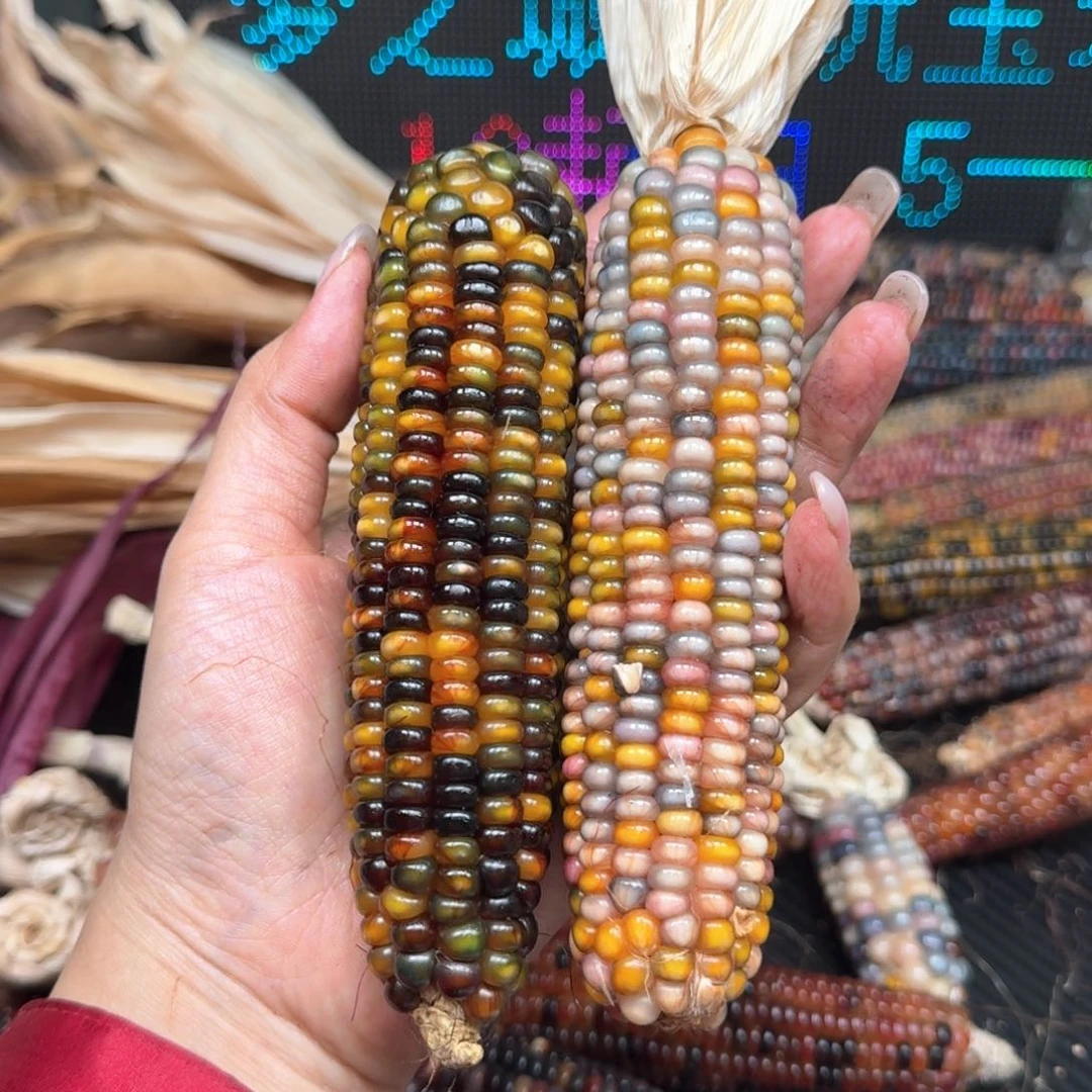 柏香籽/百香籽吊坠花***_