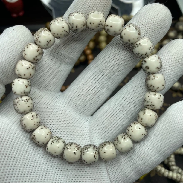 10尺寸小毕业河豚性价比第一