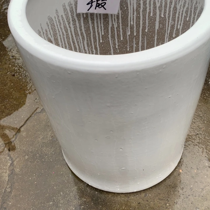 花盆里的小猫咪们都好可爱呀打脸