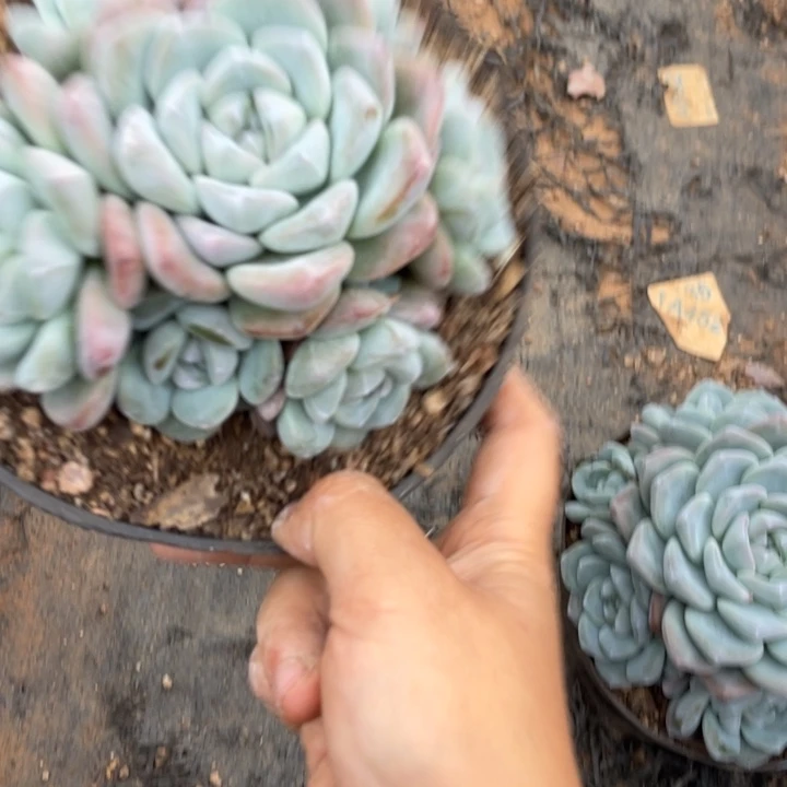 么****哈哈哈哈哈哈哈哈哈哈哈