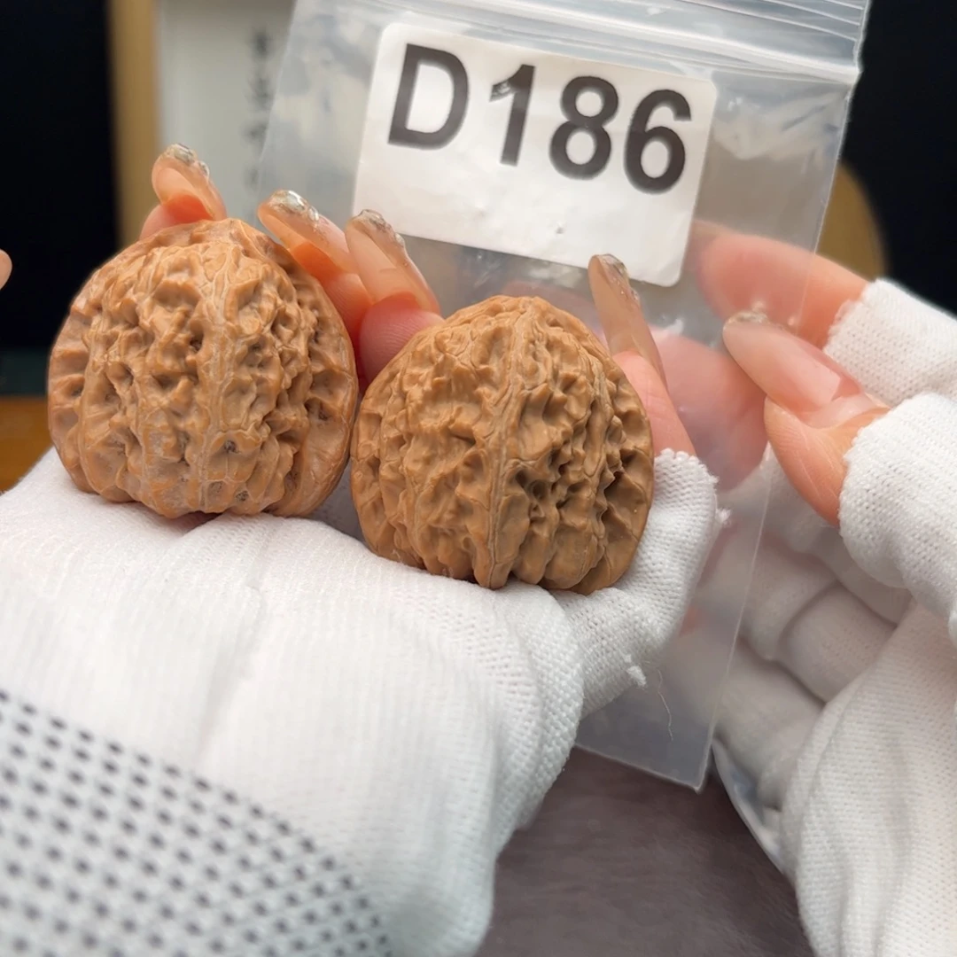 把件文玩核桃38白狮子d186