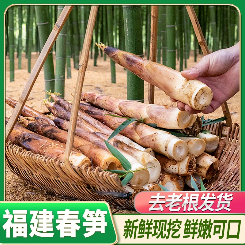 【明良】福建新鲜春笋雷笋3斤/5斤 大果中果可选