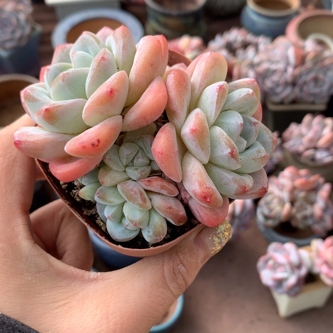 哈哈哈哈哈哈哈哈哈哈