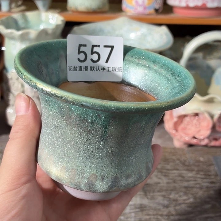 炫彩花盆花盆花盆花盆