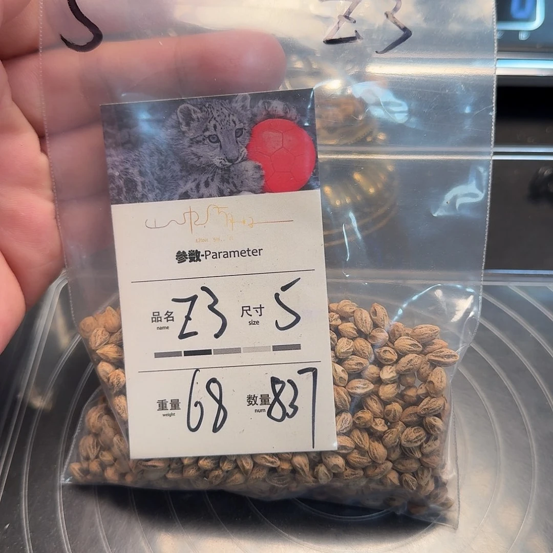 ✘***吊坠柏香籽/百香籽
