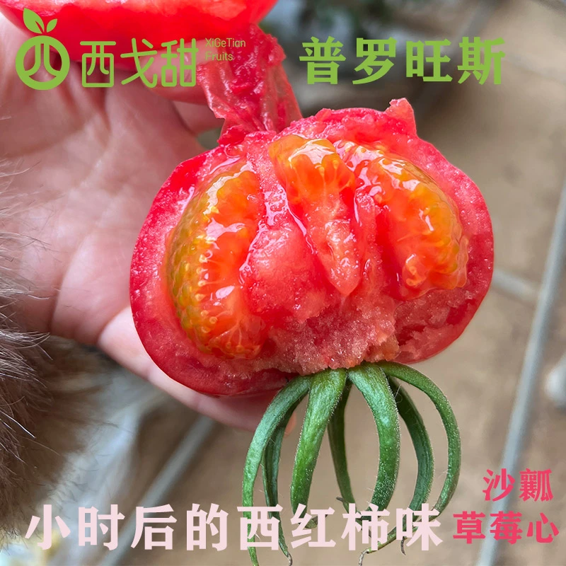 陕西泾阳普罗旺斯西红柿水果番茄2.5-5斤应季现摘沙瓤草莓心