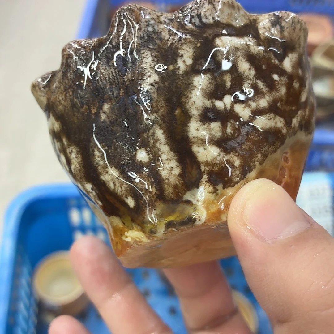 陶园柴烧，精品高货319