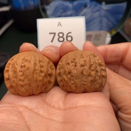 文玩核桃把件34.5铁锤全品786