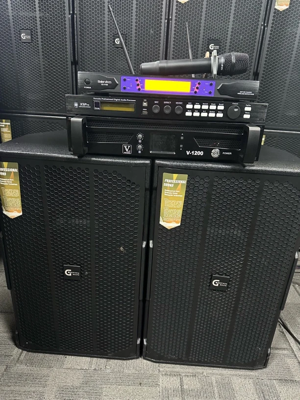 9新  不包邮 15寸德国格镭声高端专业音响