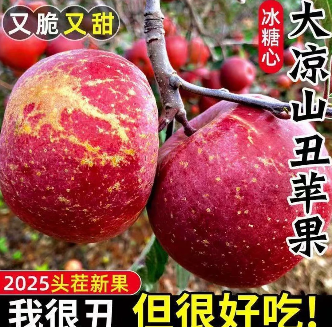 【大凉山盐源】新鲜冰糖心红富士苹果脆甜多汁当季应季大凉山丑苹果