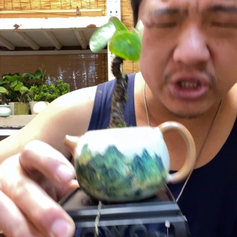 红陶一物一拍所见即所得95