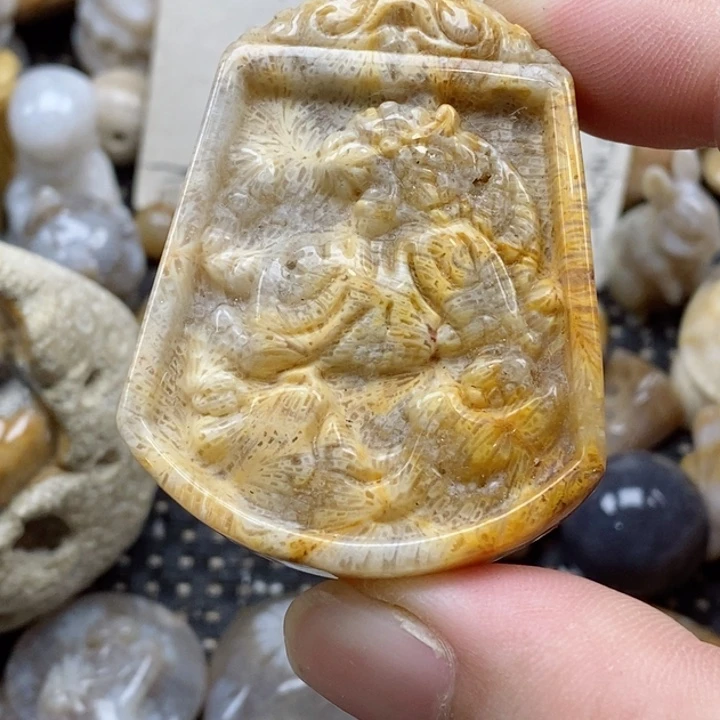 颈饰未镶嵌硅化珊瑚（珊瑚玉）