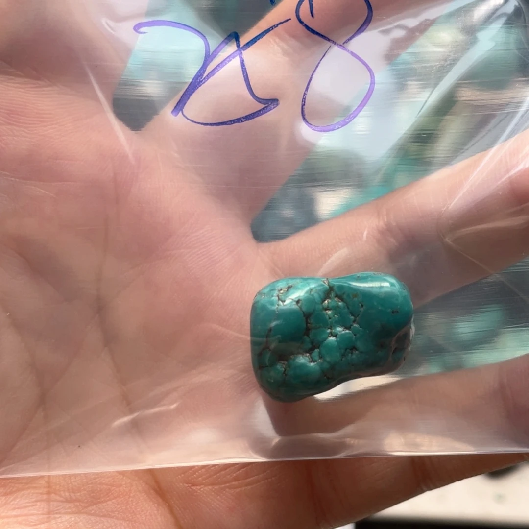 无***聊绿松石未镶嵌颈饰