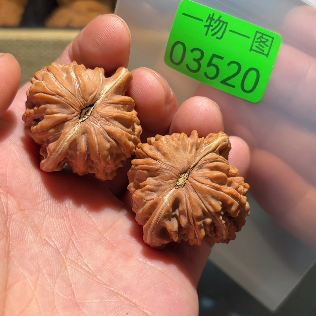 文玩核桃把件蓟县楼