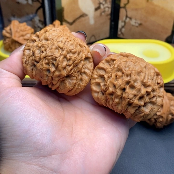 待****文玩核桃把件610龙鼎51全品