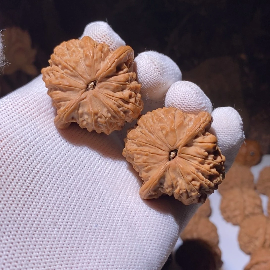 文玩核桃把件40全品血麒麟