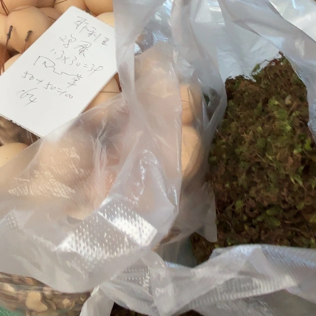 耶***亚云南南华野生菌中国大陆