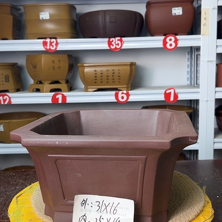 紫砂花盆你在一起