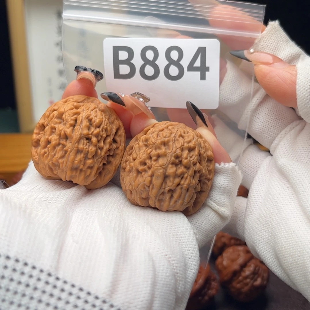 把件文玩核桃37蚂蚁王b884