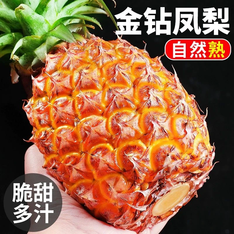 阿宝德云南金钻凤梨挂果树熟新鲜热带水果当季甜蜜蜜果汁水充足
