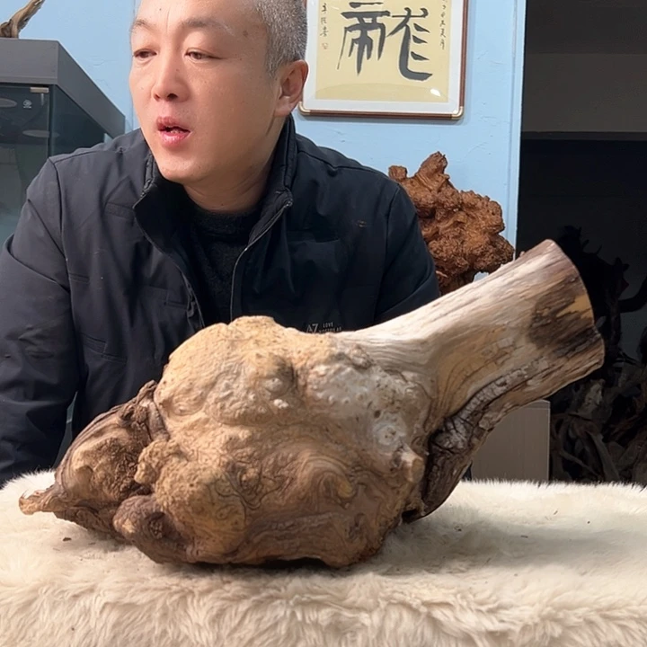 柏木小*@我们的生活是以自己为中心而