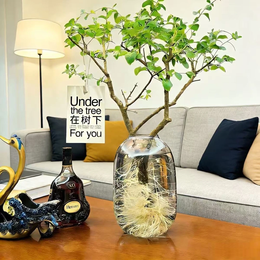 [小叶女贞]鲜切枝室内水培绿植好养易活赏叶赏枝居家软装茶室摆件