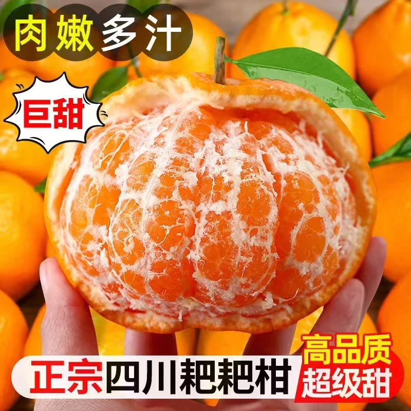 四川正宗水果新鲜应季批发耙耙柑橘子现摘现发头茬带箱5斤整箱