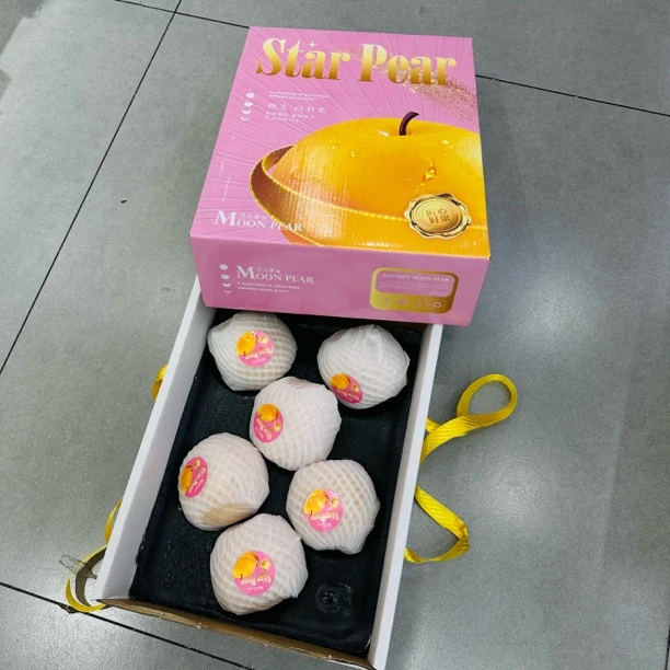 匠心好果·秋实白月光秋月梨