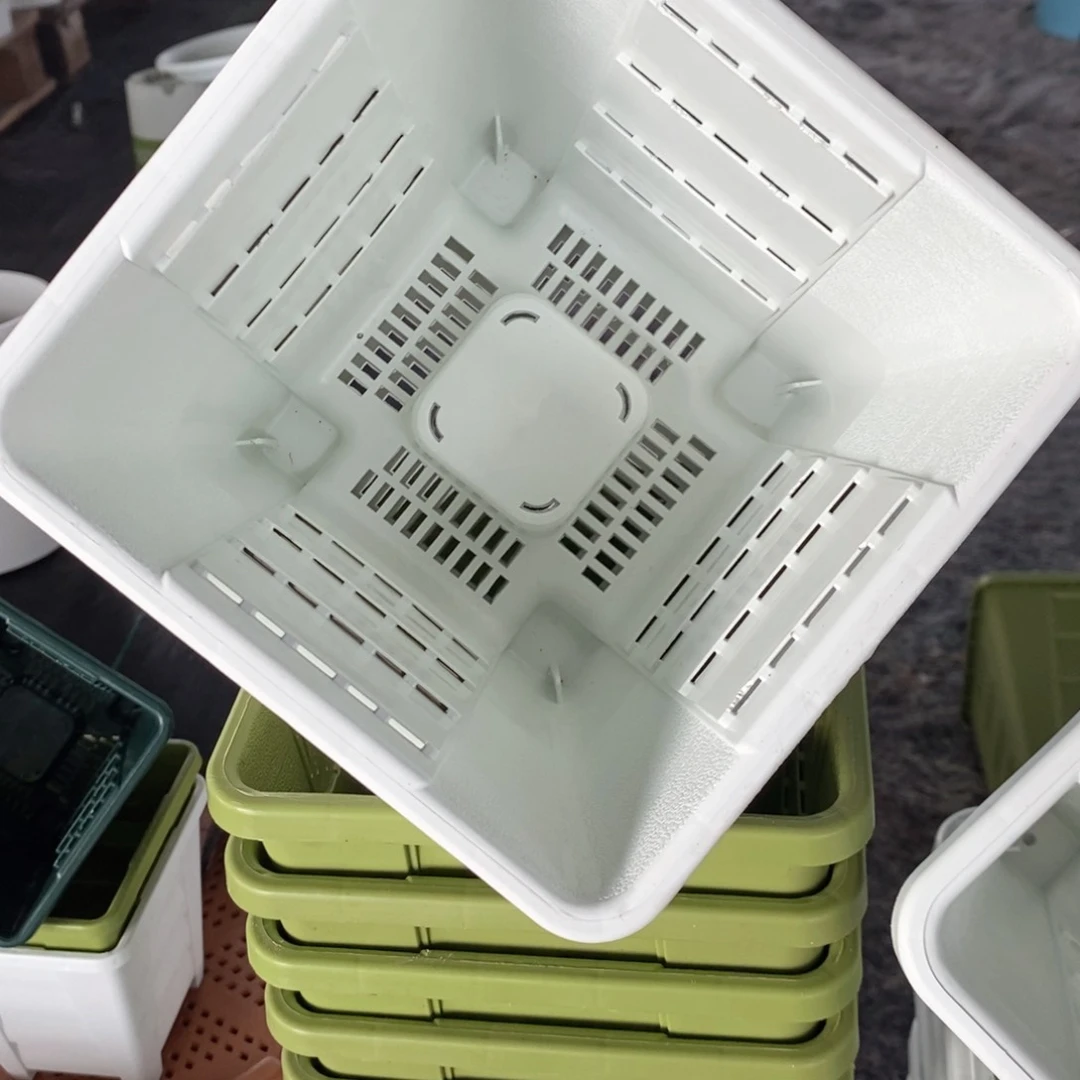 6个16口奶白方无托