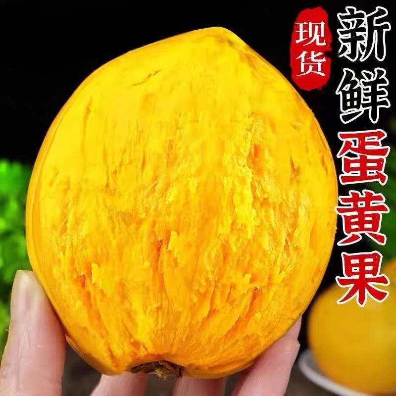 云南高山蛋黄果粉糯香甜鸡蛋果新鲜自然熟当季水果整箱