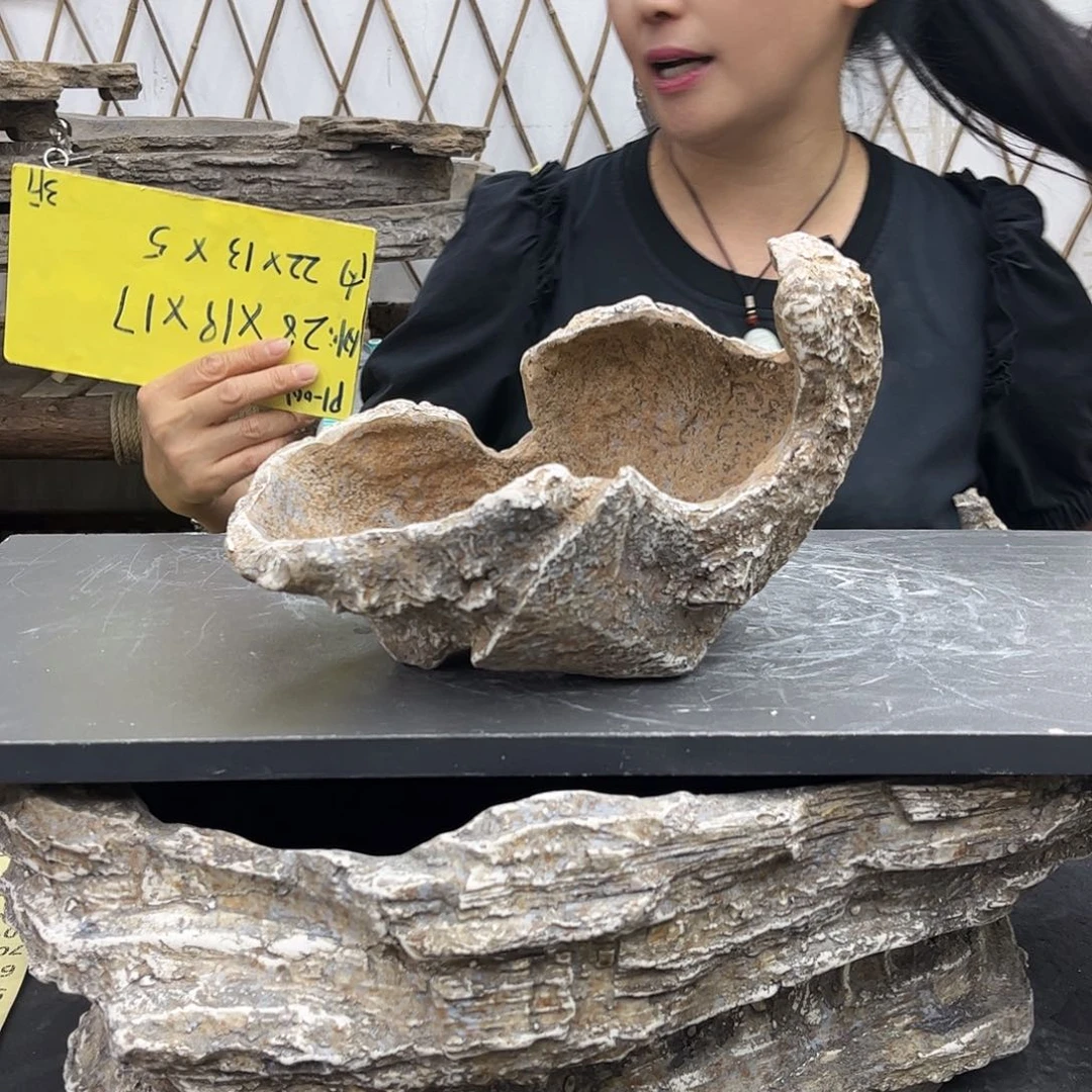 盆景盆盆景盆P1-001