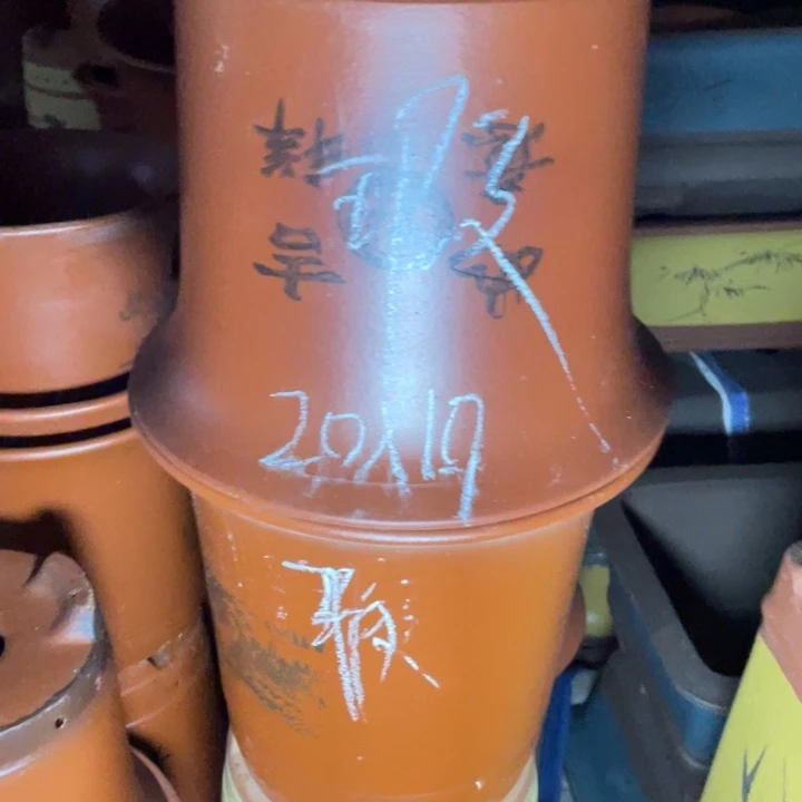 周深周深周深周深周深