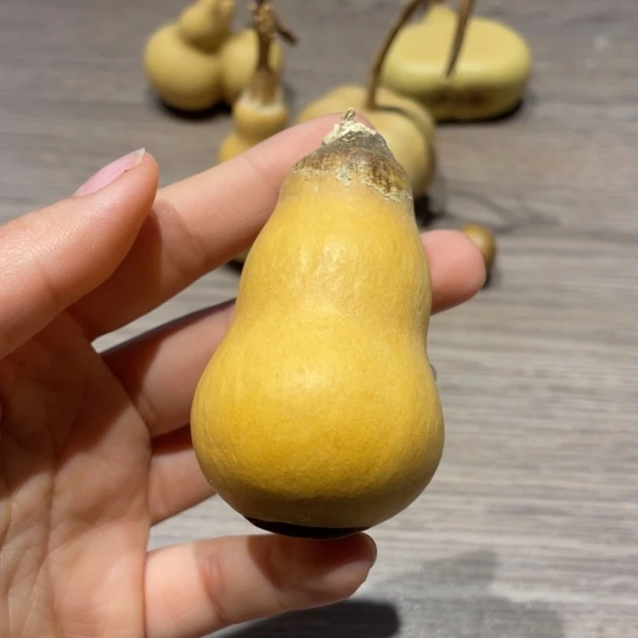 鹰***9葫芦葫芦葫芦葫芦