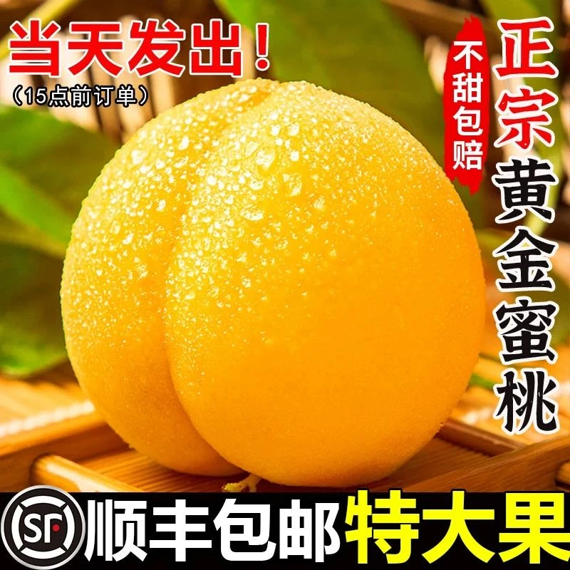顺丰包邮黄油桃现摘现发脆甜可放软甜农家蜜桃