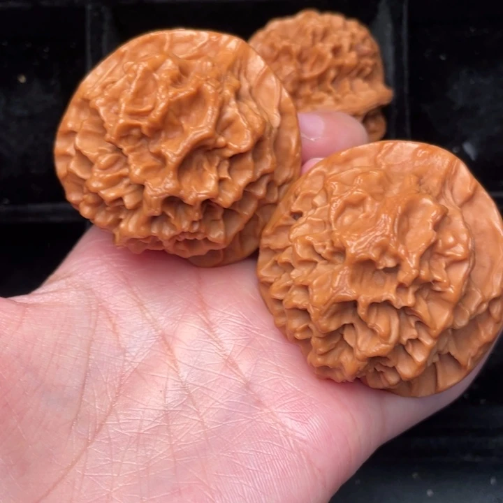 秦岭野生核桃文玩