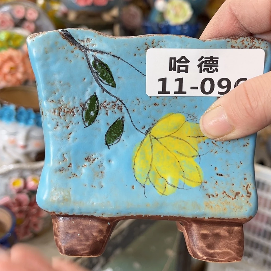 【闪购商品】红陶1196