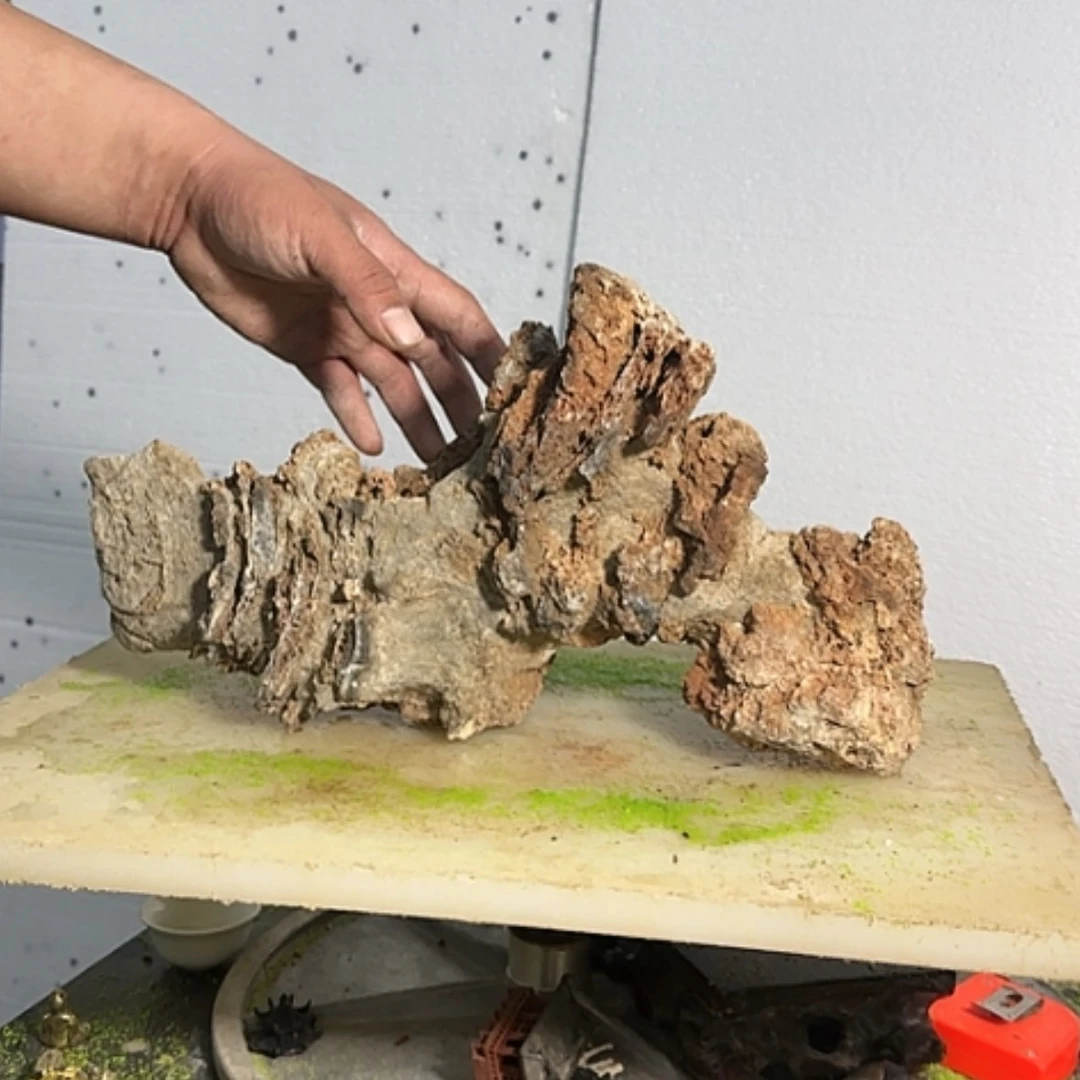 【闪购商品】香榧木小**丑这是一个很不错