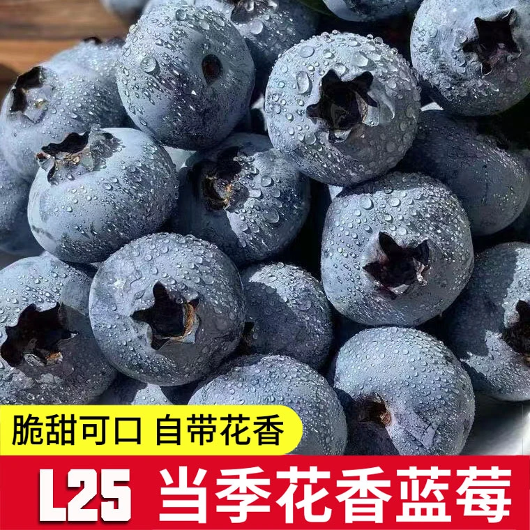 【顺丰空运】云南新鲜L25花香蓝莓超大果整箱孕妇儿童可食用脆甜