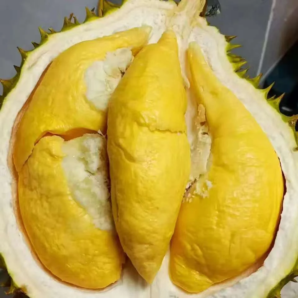 威海经区新鲜金枕榴莲一果一重正常核大小金枕泰国