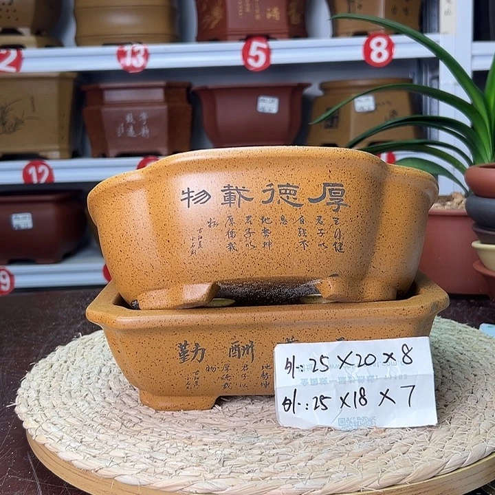 紫砂花盆蛇年大吉